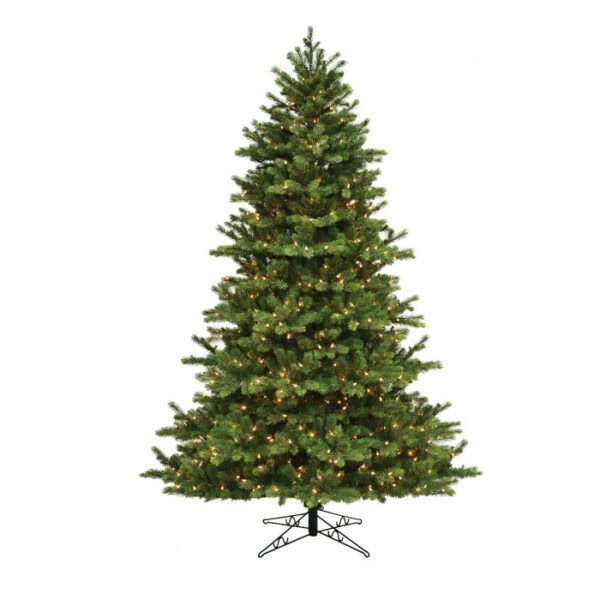 Grand Leyland Spruce