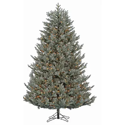 Highland Blue Spruce