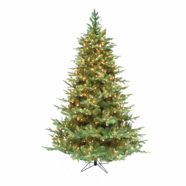 Olympia Fir