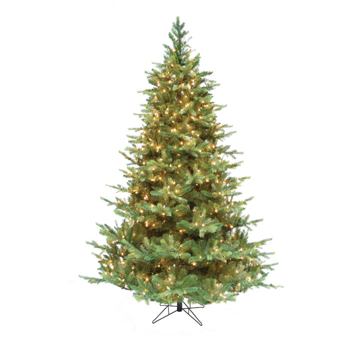 Olympia Fir