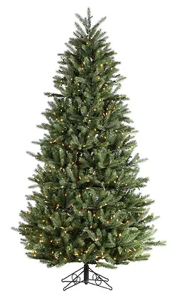 Santa Clara Medium