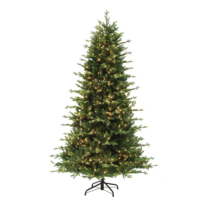 Swiss Mountain Spruce